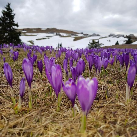 Chalet Pehta Velika Planina Villa Stahovica Eksteriør bilde