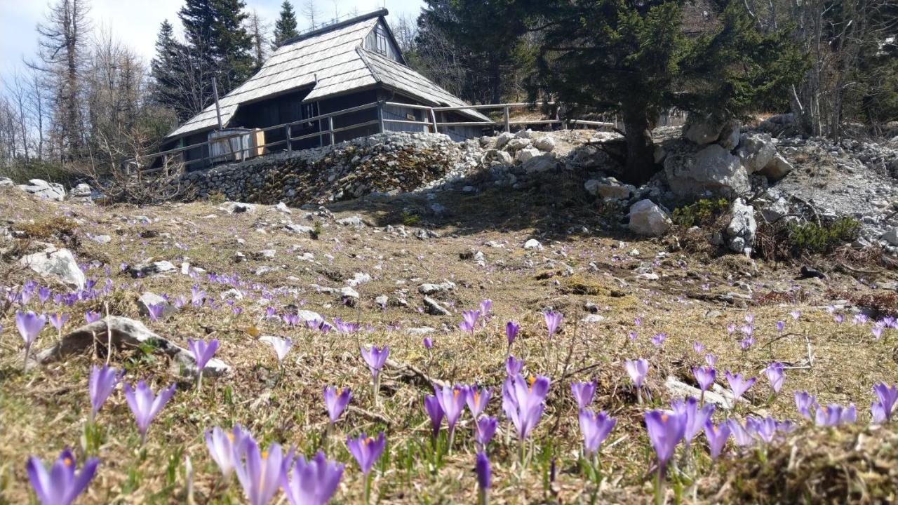 Chalet Pehta Velika Planina Villa Stahovica Eksteriør bilde