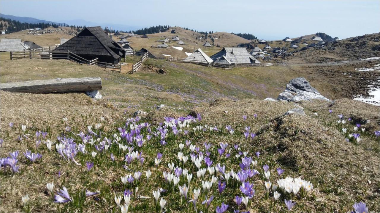 Chalet Pehta Velika Planina Villa Stahovica Eksteriør bilde