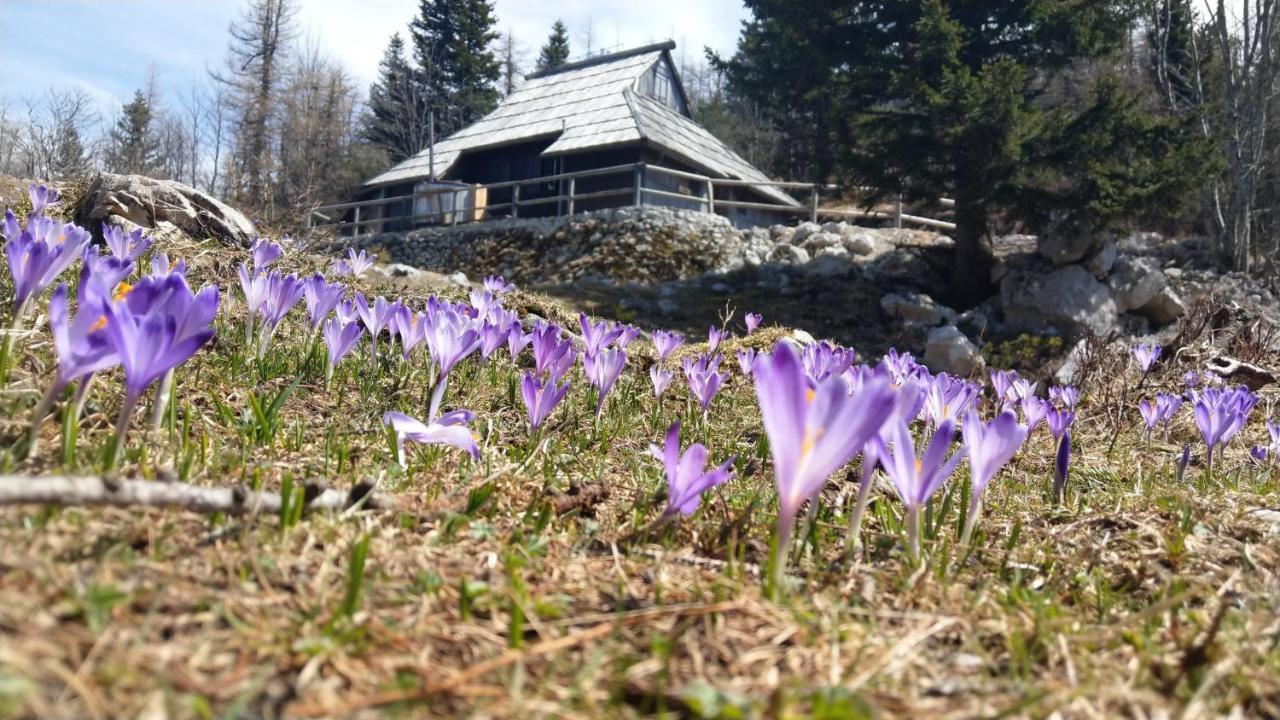 Chalet Pehta Velika Planina Villa Stahovica Eksteriør bilde