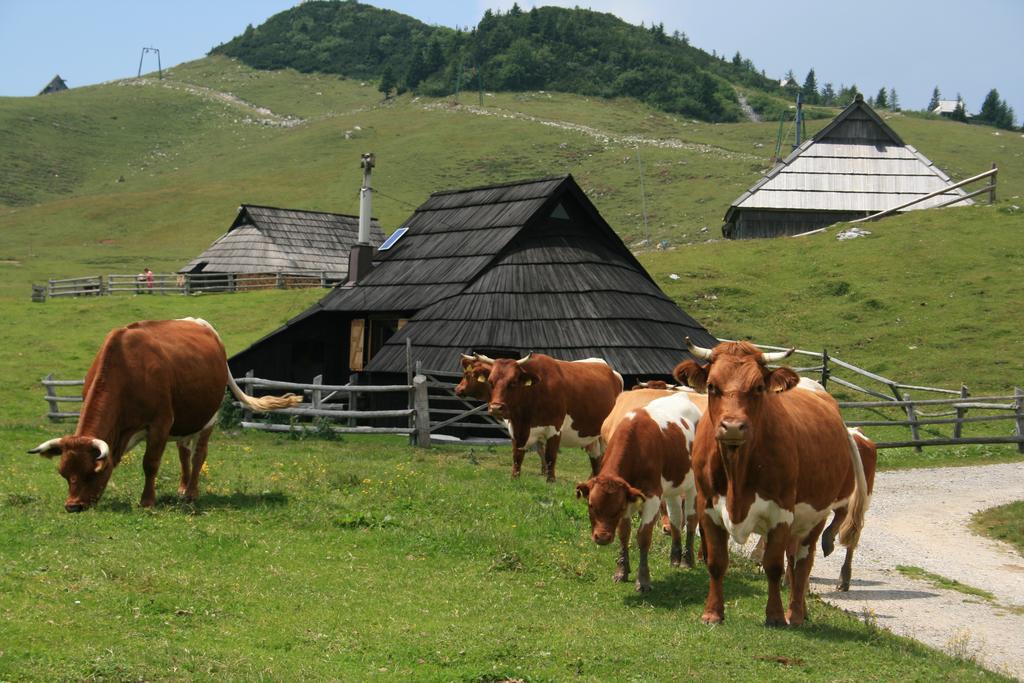 Chalet Pehta Velika Planina Villa Stahovica Rom bilde