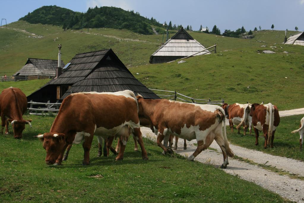 Chalet Pehta Velika Planina Villa Stahovica Rom bilde