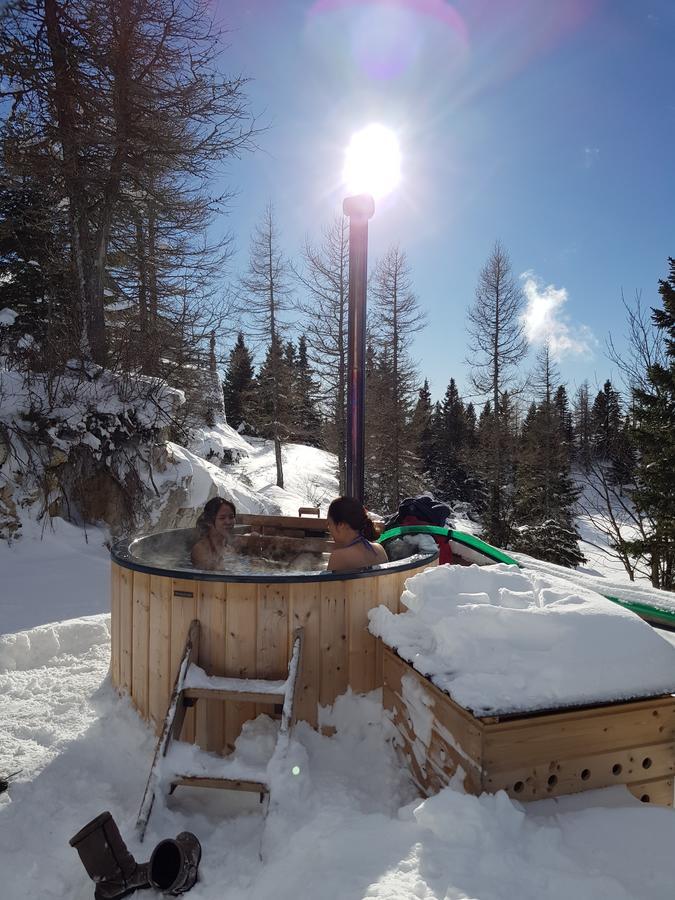 Chalet Pehta Velika Planina Villa Stahovica Eksteriør bilde